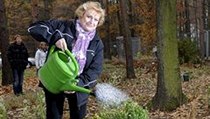 Zlatá olympijská medailistka Věra Čáslavská vysadila 10. listopadu v Botanické zahradě v Praze strom se svým jménem a zapojila se tak do projektu Kořeny osobností. | na serveru Lidovky.cz | aktuální zprávy
