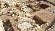 Nálezy a naleziště Jebel Faya | na serveru Lidovky.cz | aktuální zprávy
