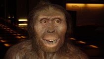 australophitecus afarensis | na serveru Lidovky.cz | aktuální zprávy