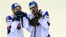 Česko - Slovensko (smutní Slováci) | na serveru Lidovky.cz | aktuální zprávy