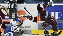 Kometa Brno - Sparta. | na serveru Lidovky.cz | aktuální zprávy