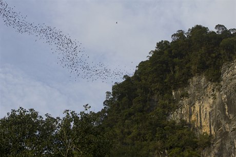 Borneo (ilustraní foto)