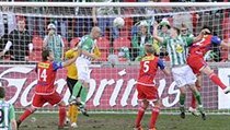 Bohemians - Brno. | na serveru Lidovky.cz | aktuální zprávy