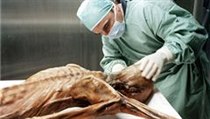 Ledový muž Ötzi | na serveru Lidovky.cz | aktuální zprávy