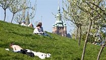 Teplé jarní počasí - ilustrační foto. | na serveru Lidovky.cz | aktuální zprávy
