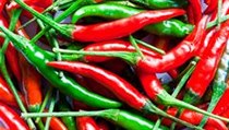 chili papričky | na serveru Lidovky.cz | aktuální zprávy