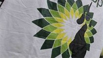 Protesty proti společnosti BP | na serveru Lidovky.cz | aktuální zprávy