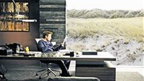 Ewan McGregor ve filmu Muž ve stínu | na serveru Lidovky.cz | aktuální zprávy