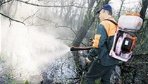 Nejúčinnější obranou proti bodavému hmyzu je postřik, který zasáhne larvy ještě přijímající potravu | na serveru Lidovky.cz | aktuální zprávy