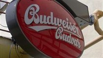 Budějovický Budvar | na serveru Lidovky.cz | aktuální zprávy