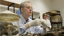 Profesor Niels Linnerup z Kodaňské univerzity zkoumá ostatky Tycha Braha. | na serveru Lidovky.cz | aktuální zprávy