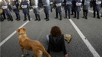 Zde 22. prosince 2008. Pes, který nevynechal ani jednu řeckou demonstraci po celá léta. | na serveru Lidovky.cz | aktuální zprávy