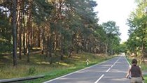 815 | na serveru Lidovky.cz | aktuální zprávy