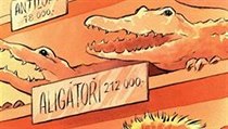 Kolik stojí český krokodýl. | na serveru Lidovky.cz | aktuální zprávy
