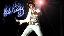 Elvis Presley | na serveru Lidovky.cz | aktuální zprávy