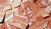 Kuponové knížky | na serveru Lidovky.cz | aktuální zprávy