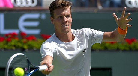 Tomá Berdych v utkání s Amerianem Stevem Johnsonem.