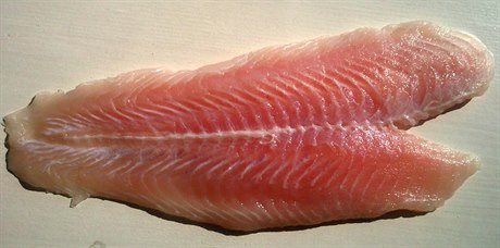 Pangasius, filé (Ilustraní)