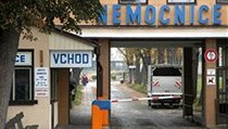 Nemocnice v Třebíči | na serveru Lidovky.cz | aktuální zprávy
