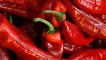Chilli papričky. | na serveru Lidovky.cz | aktuální zprávy