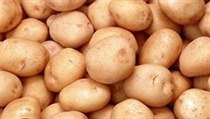 Brambory | na serveru Lidovky.cz | aktuální zprávy
