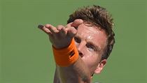 Nadhoz! Tom Berdych servruje.