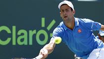 Novak Djokovič na turnaji v Miami. | na serveru Lidovky.cz | aktuální zprávy