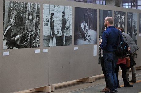 Vechny fotografie jsou azeny do tí základních kategorií - krajina, portréty...