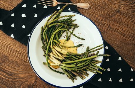 Chřest | na serveru Lidovky.cz | aktuální zprávy