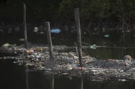 Zátoka Guanabara v Riu de Janeiru, ve které se za rok uskutení olympijské...