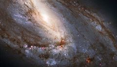 Snímek z Hubbleova teleskopu vyobrazuje mlhovinu M66, nejvtí galaxii Leo...