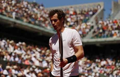 Andy Murray.