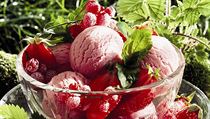 Ovocný sorbet - ilustrační foto | na serveru Lidovky.cz | aktuální zprávy