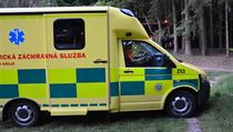 Další tři zraněné odvezli záchranáři do mladoboleslavské nemocnice. | na serveru Lidovky.cz | aktuální zprávy