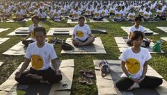 Mezinárodní den jógy vyhlásila OSN loni v listopadu.