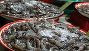 Tyg krevety jsou neodmyslitelnou soust thajsk kuchyn