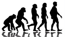 Evoluce | na serveru Lidovky.cz | aktuální zprávy