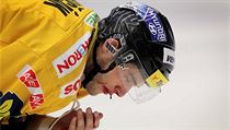 Slovenský hokejista Ján Brejčák, který hrával za Litvínov, dává Slovan... | na serveru Lidovky.cz | aktuální zprávy