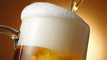 Pivo | na serveru Lidovky.cz | aktuální zprávy