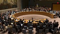 Rada bezpenosti OSN