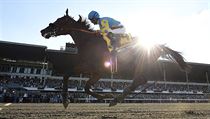 American Pharoah probíhá na prvním místě cílem William Hill Haskell... | na serveru Lidovky.cz | aktuální zprávy