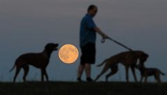 Lidé v jiních echách mohli 31. ervence pozorovat takzvaný modrý úplnk, ji...