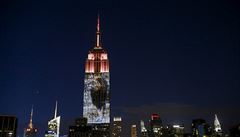 Na Empire State Building se promítaly obrazy ohroených zvíecích druh.