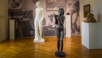 Pohled do expozice v galerii Klatovy / Klenová. Pohled do expozice v galerii Klatovy / Klenová.