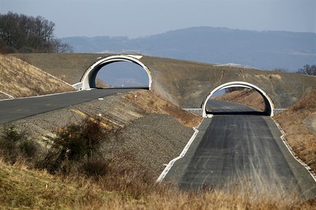 Sesunutý svah nad obcí Litochovice nad Labem.