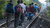 Do Maďarska dorazil rekordní počet uprchlíků. V těchto dnech se čeká silnější... | na serveru Lidovky.cz | aktuální zprávy