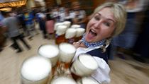Hosteska roznáší pivo. | na serveru Lidovky.cz | aktuální zprávy
