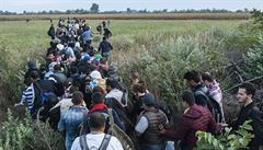 Srbsko-maarské hranice pekroil bhem pondlka rekordní poet 2093 migrant.