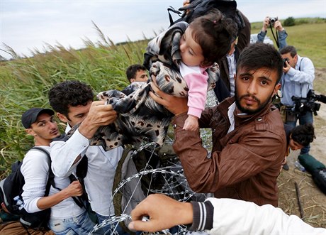 Uprchlíci ze Sýrie pekonávají ostnatý plot na srbsko-maarských hranicích....