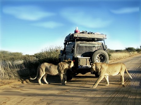 Lvi zkoumali nae auto